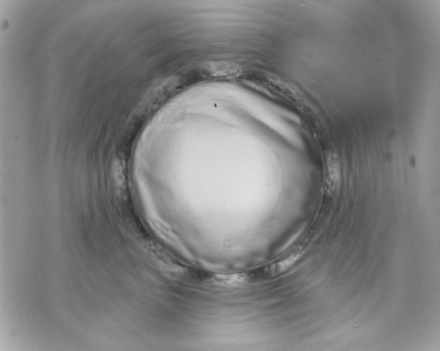 X0000070880667200607071949