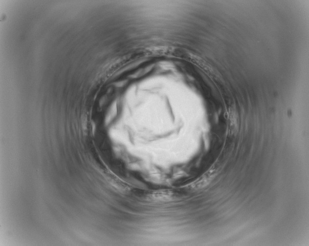 X0000070880668200607071949