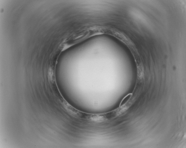 X0000070880669200607071949