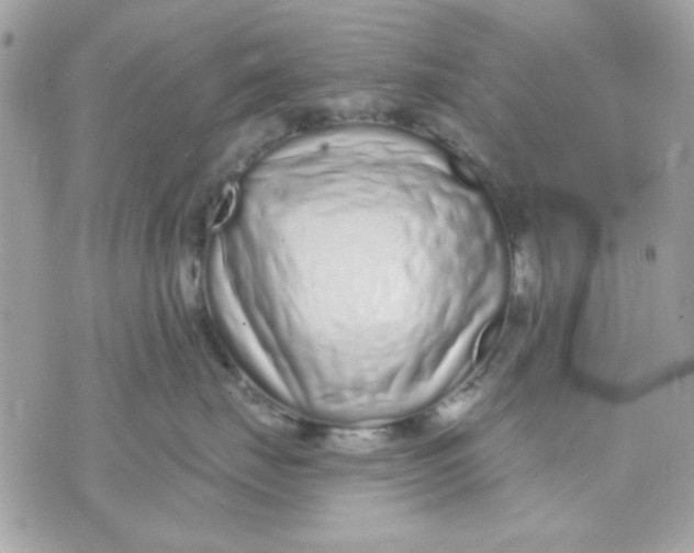 X0000070880671200607071949