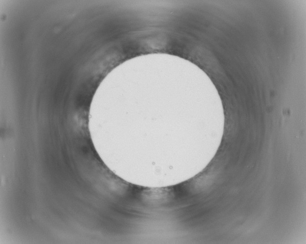 X0000070880672200607071949