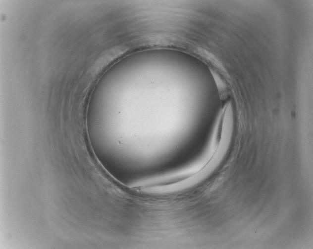 X0000070880673200607071948