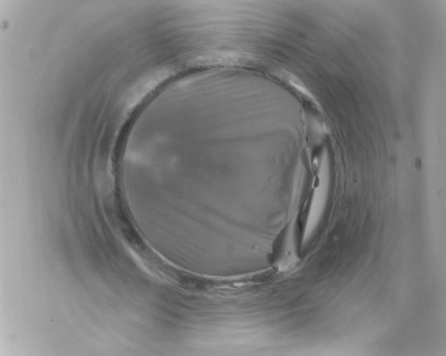 X0000070880674200607071948