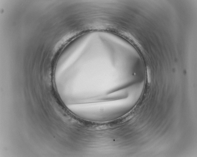 X0000070880675200607071948