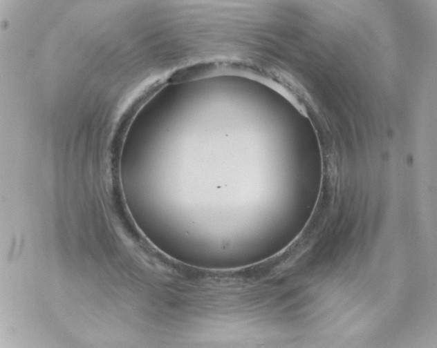 X0000070880676200607071948