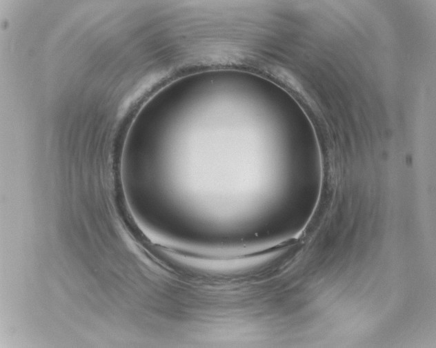 X0000070880677200607071948