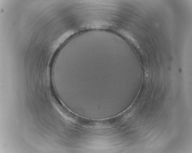 X0000070880678200607071948