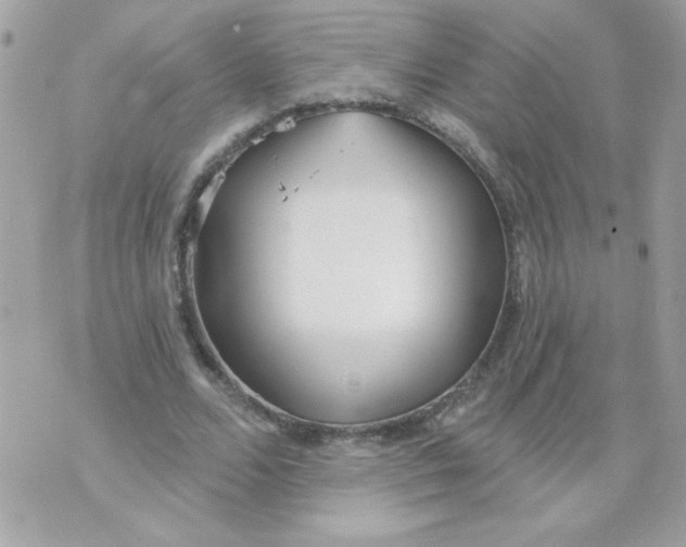 X0000070880680200607071948