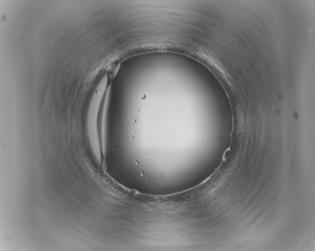 X0000070880681200607071948