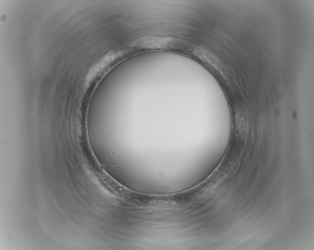 X0000070880682200607071948