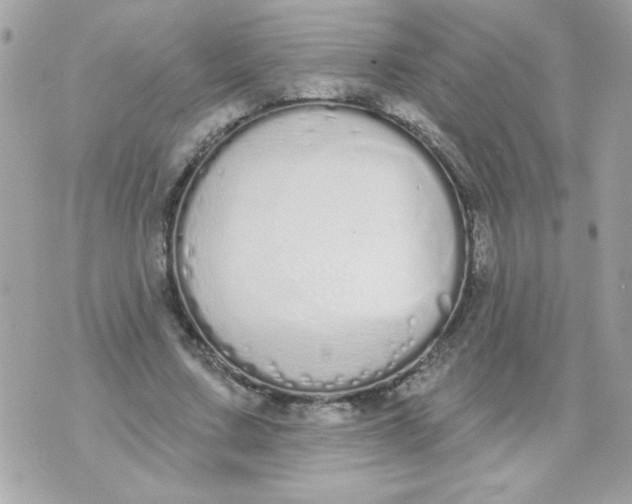 X0000070880683200607071948