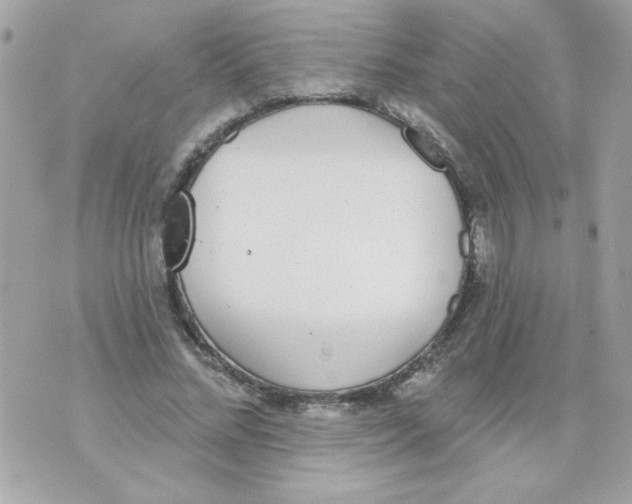 X0000070880684200607071948