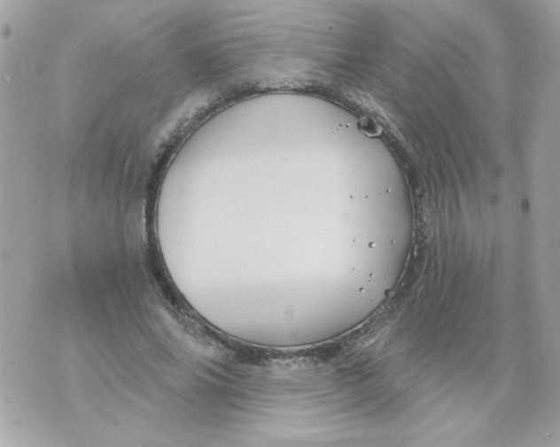 X0000070880686200607071948