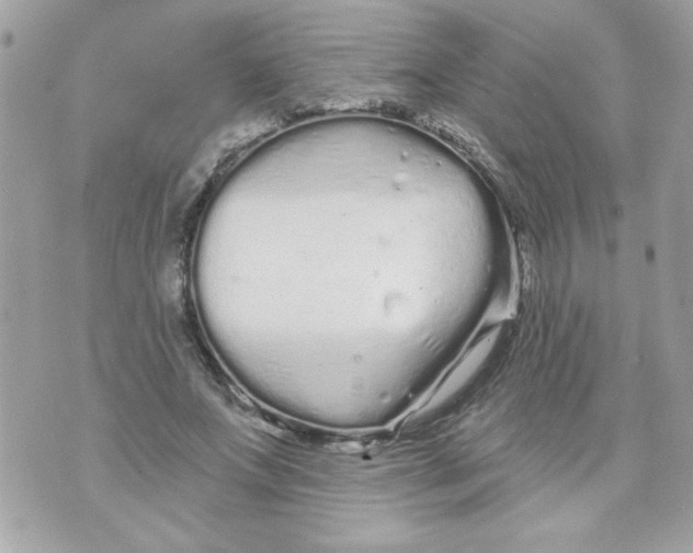 X0000070880687200607071948