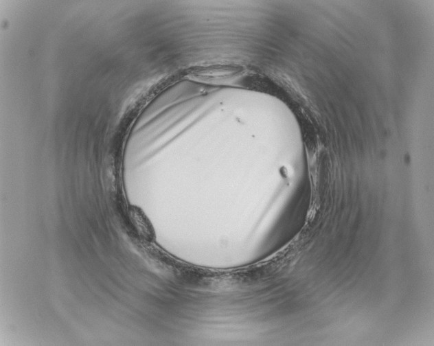 X0000070880688200607071948