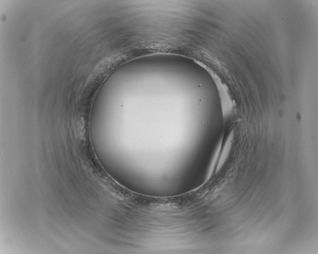 X0000070880689200607071948