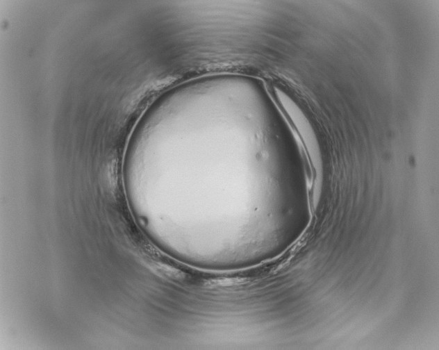 X0000070880691200607071948