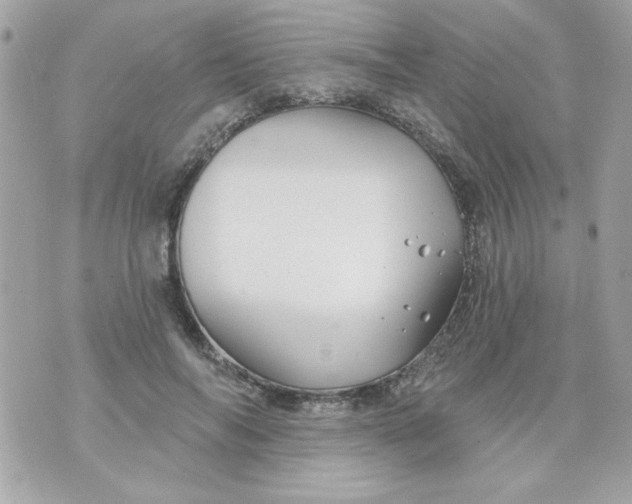 X0000070880694200607071948