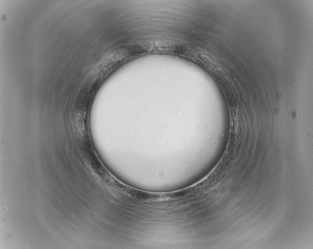 X0000070880695200607071948