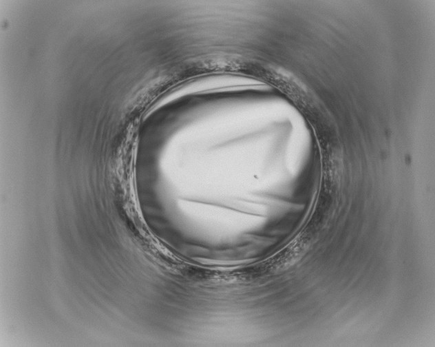 X0000070880696200607071948