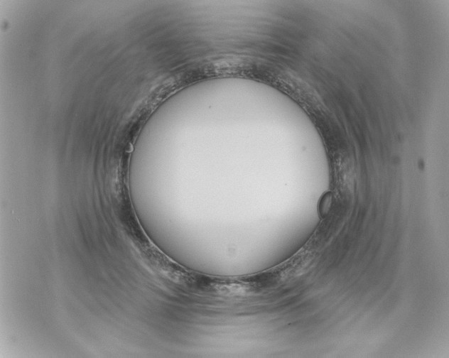 X0000070880698200607071948