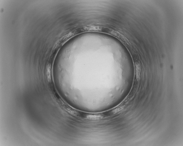 X0000070880699200607071948