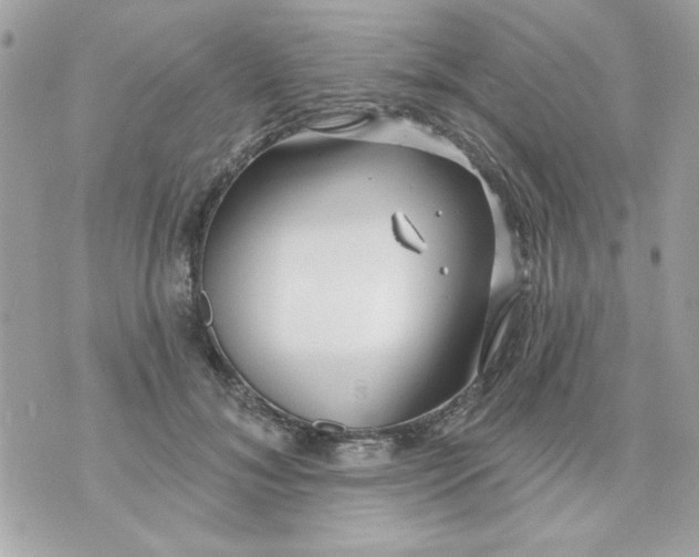 X0000070880700200607071948