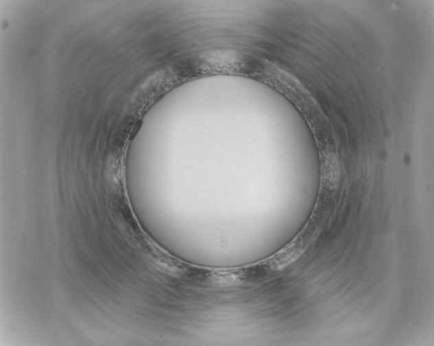 X0000070880701200607071948