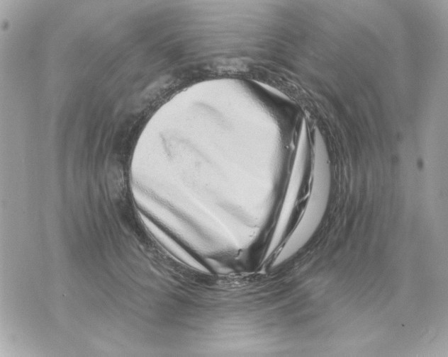 X0000070880704200607071948