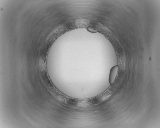 X0000070880705200607071948