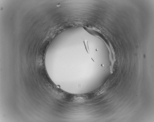 X0000070880706200607071948