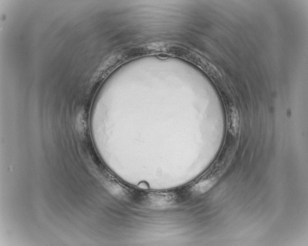 X0000070880707200607071948