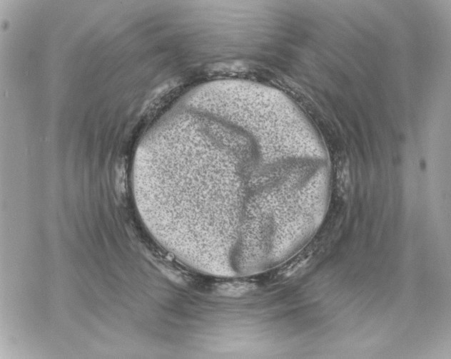 X0000070880708200607071948