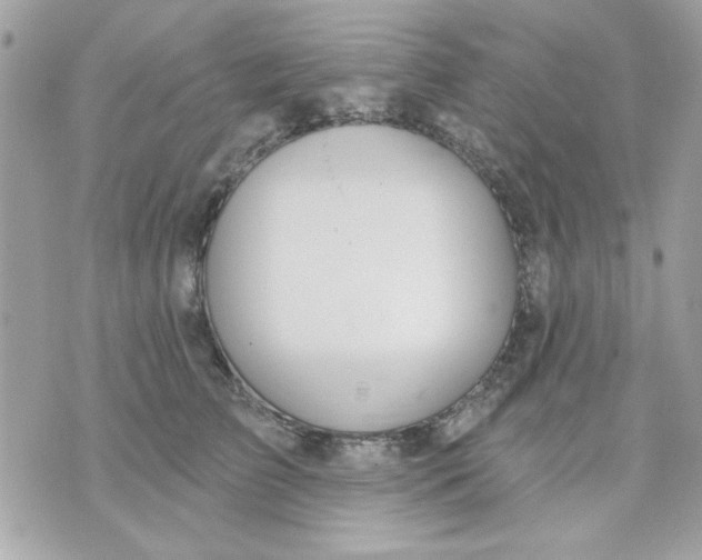 X0000070880709200607071948