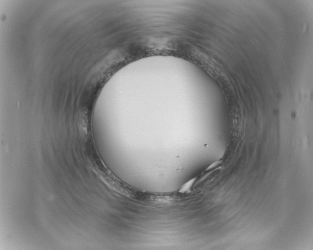 X0000070880710200607071948