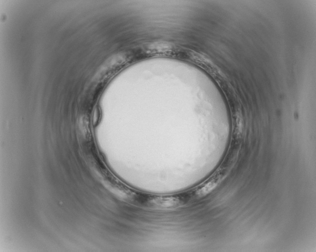 X0000070880711200607071948