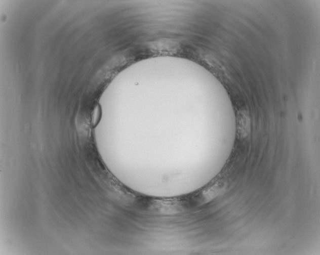 X0000070880713200607071948