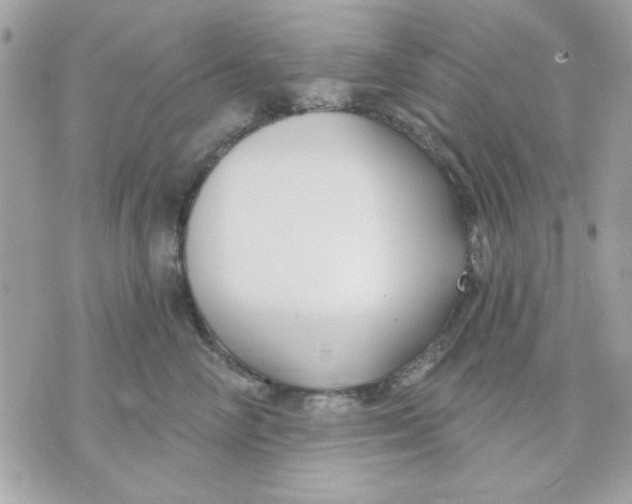 X0000070880714200607071948