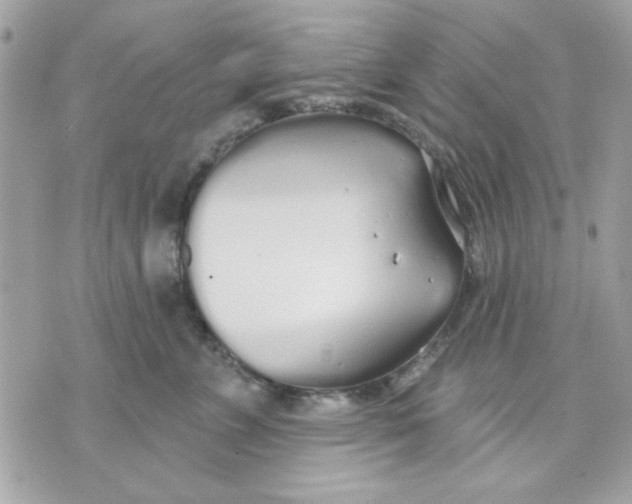 X0000070880715200607071948