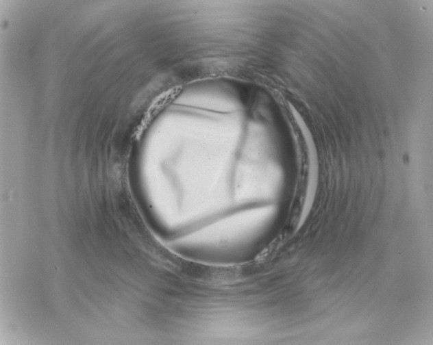 X0000070880716200607071948