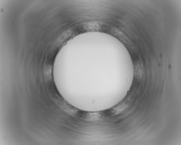 X0000070880717200607071948