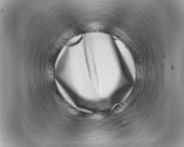 X0000070880718200607071948