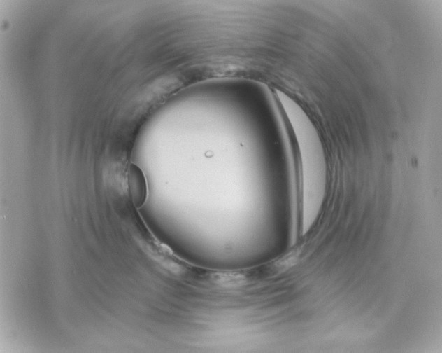 X0000070880719200607071948