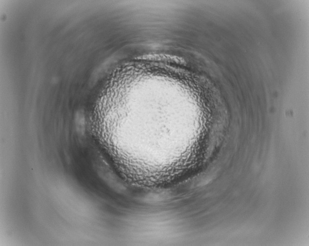 X0000070880720200607071948