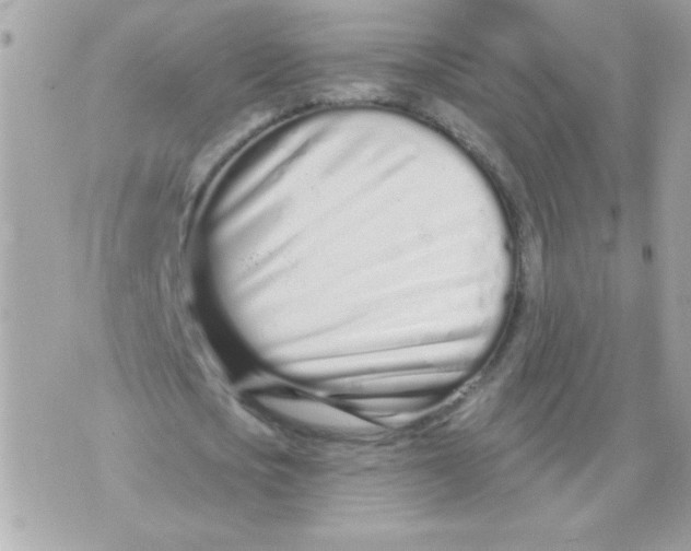 X0000070880721200607071947