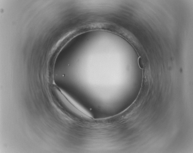 X0000070880722200607071947