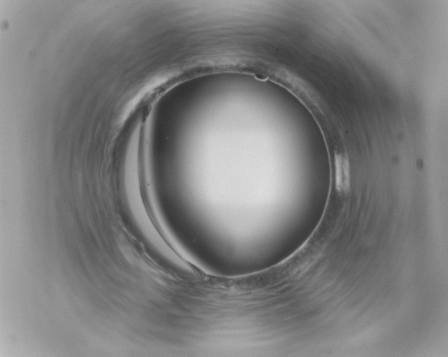 X0000070880723200607071947