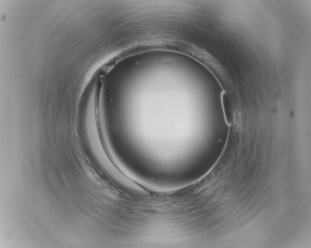 X0000070880724200607071947