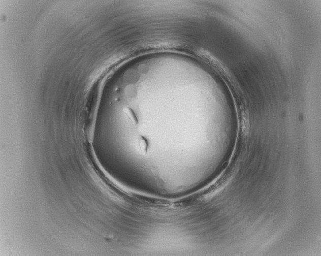 X0000070880725200607071947