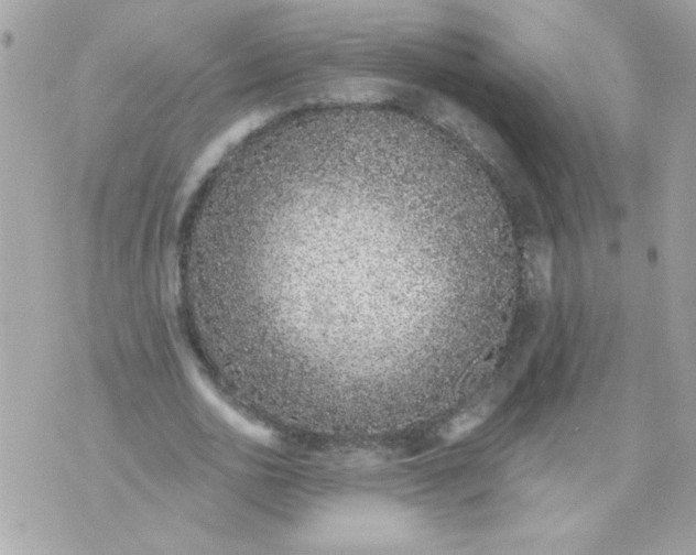 X0000070880726200607071947